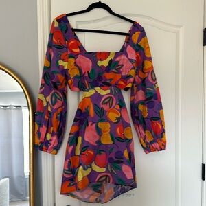 NWT Farm Rio Long-Sleeve Poplin Mini Dress